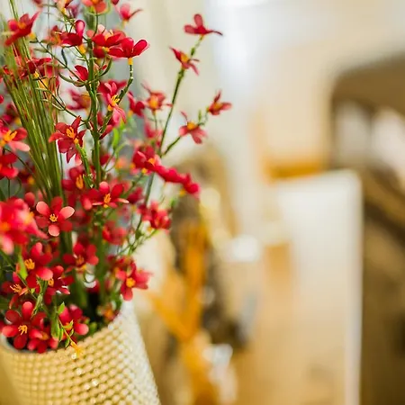 Апартаменти Seasons Garden